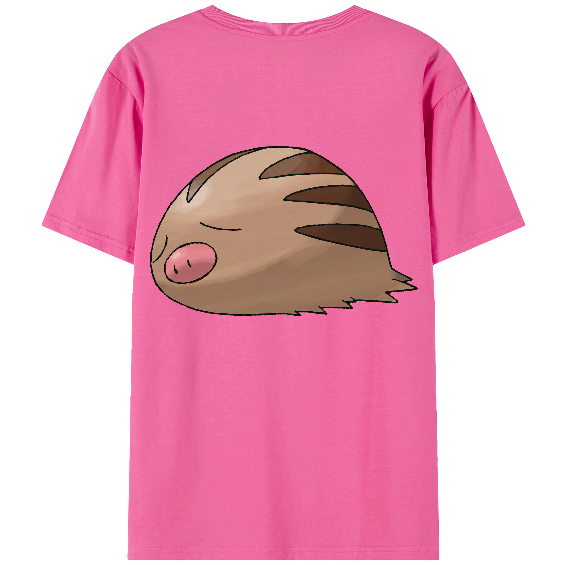 （画像用） ポケットモンスター Pokémon レディース半袖Tシャツ(バックプリント)